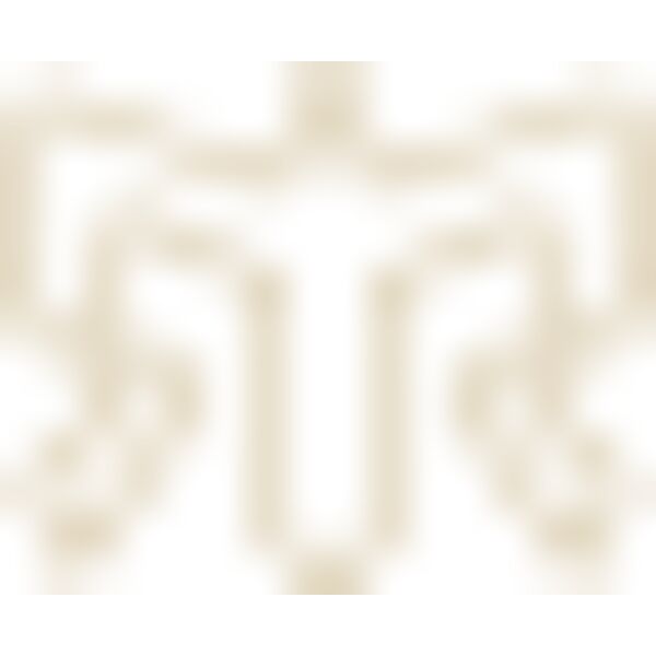 back icon 1 Thumbnail