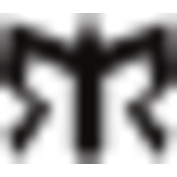 Ragnar Logo Black Thumbnail