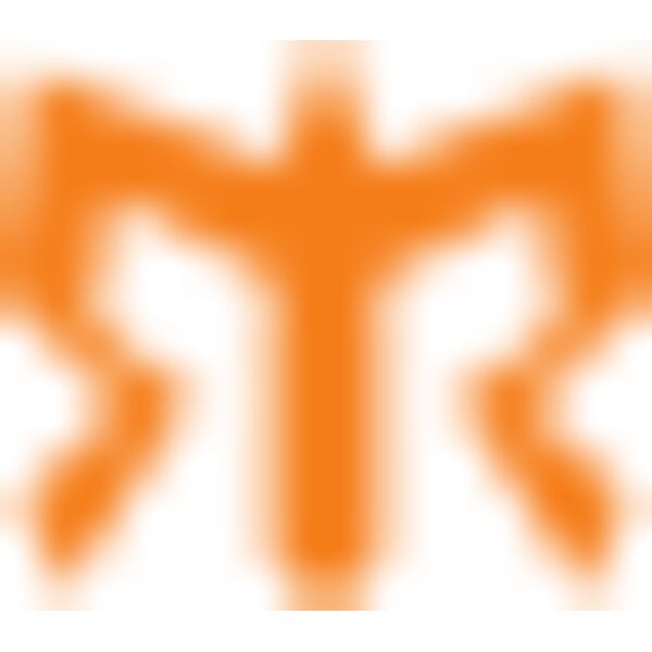 Ragnar Logo Orange Thumbnail